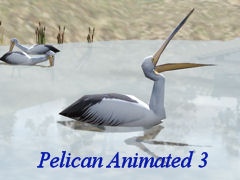 Pelican Animated 3 on Water