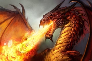 Clash Of Kings - “Dragon“. What ???