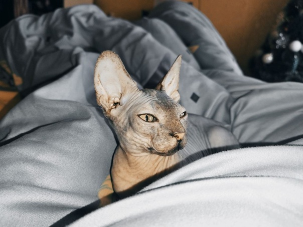 Малышка Клеопатра ❤😍