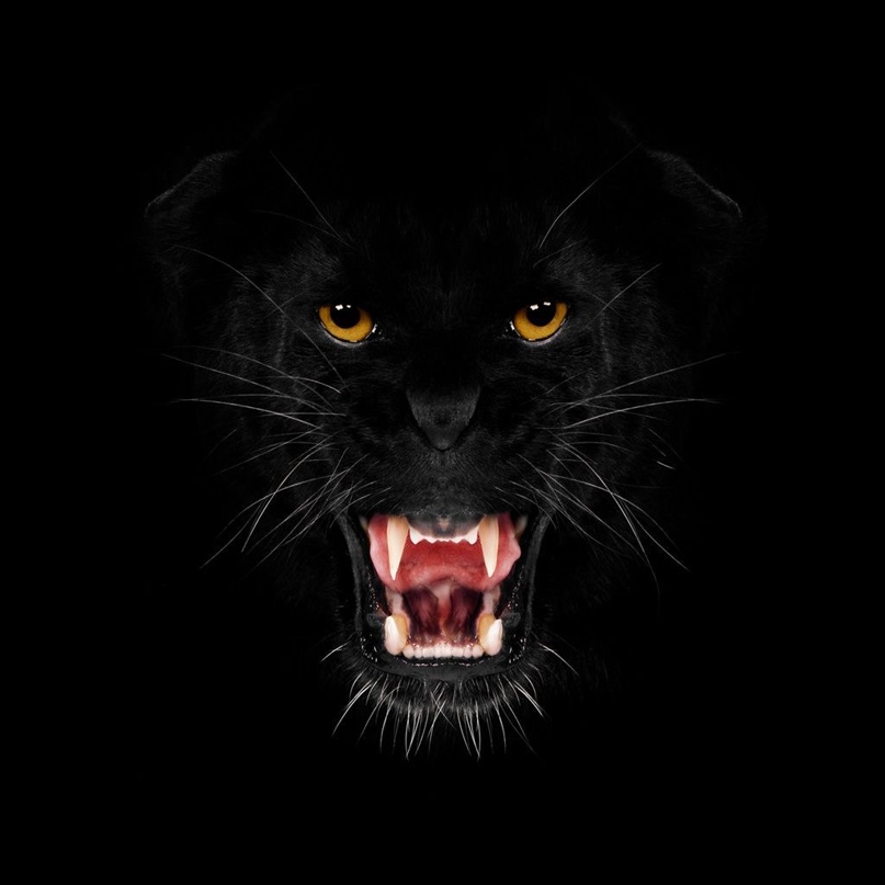 Ирина Казьмина | Киев