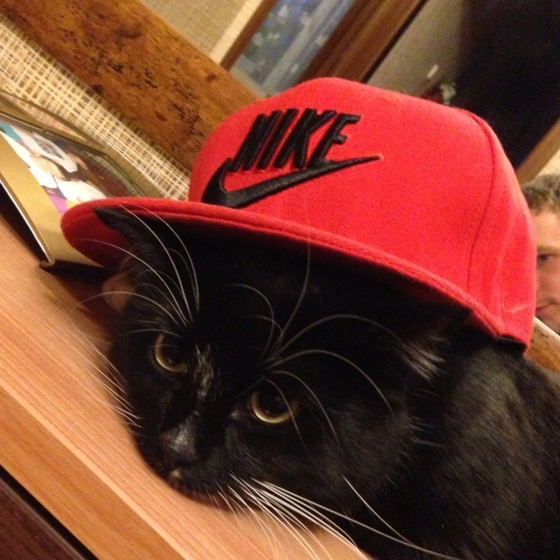 Илья Дорохов | Череповец