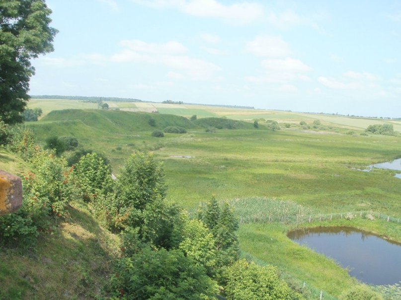 Светлана Мельничук Фотограф | Бердичев