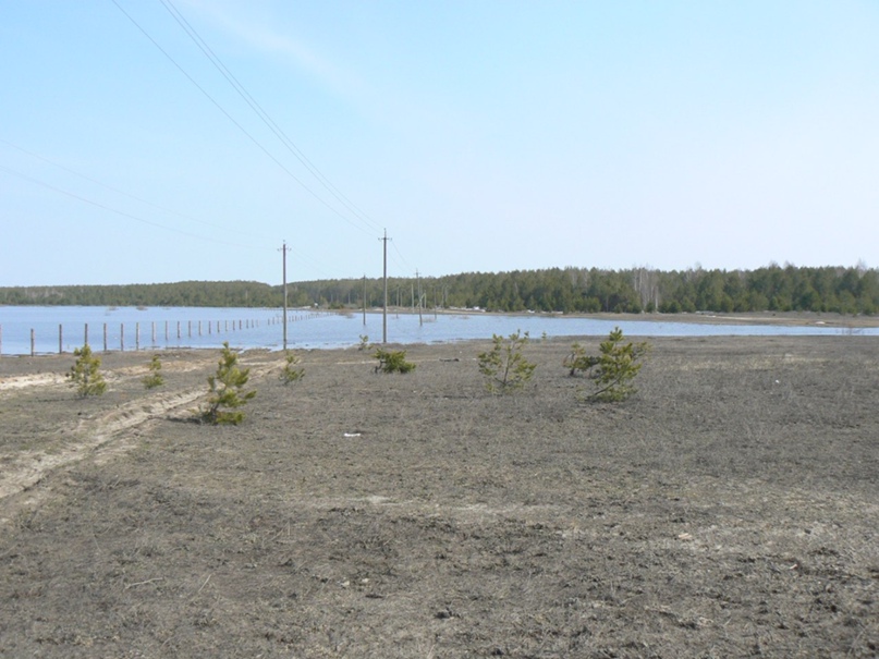 Сергей Головин | Саров