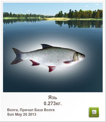 Мария Баранникова | Воронеж