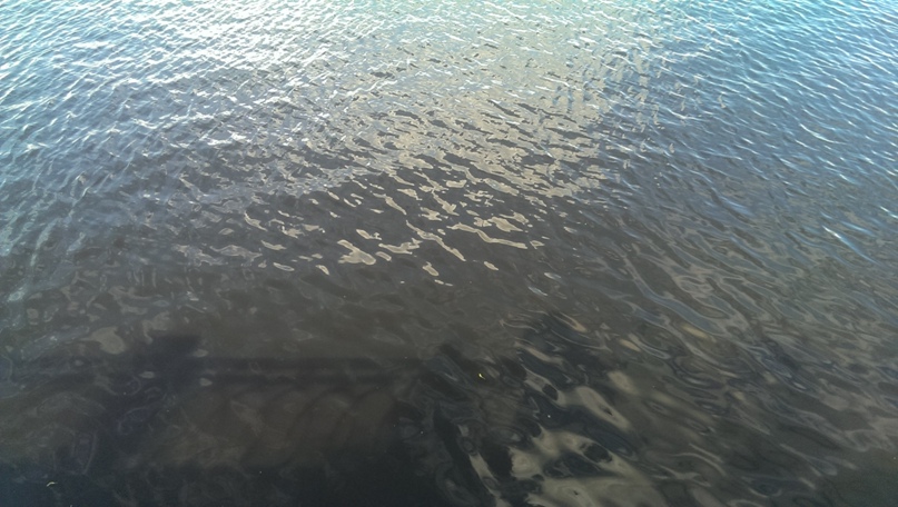 Александр Кузнецов MarkVinsent ██████████████ 100% | Москва