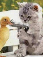 Юрий Романюк Сергейович | Енакиево