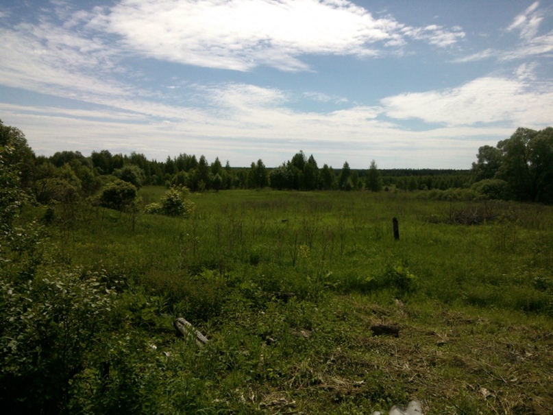 Ольга Бубнова ~Pantera~ | Нижний Новгород