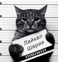 Зверев Павел