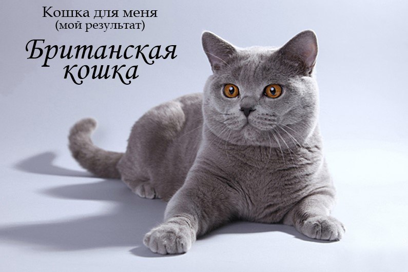 Евгения Мельник | Тирасполь