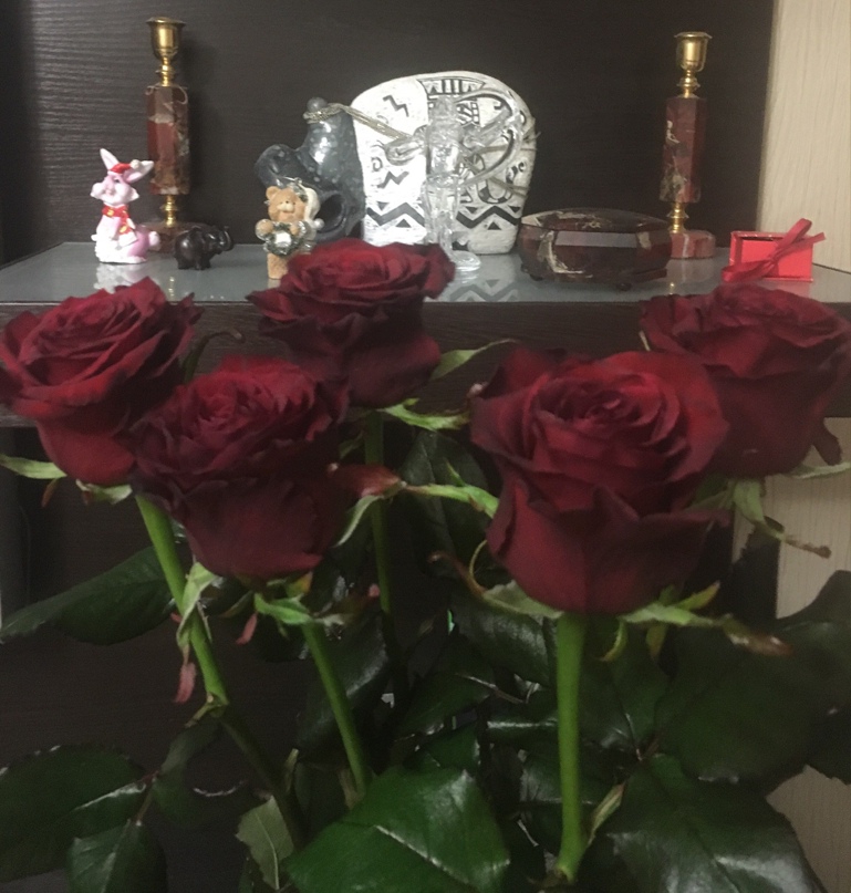 Вера Олейник | Киев