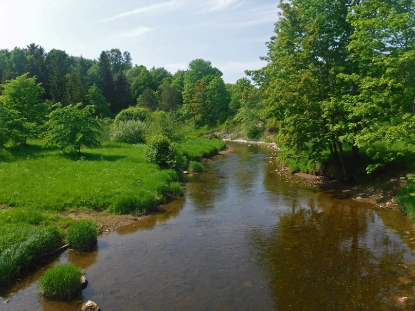 Максим Кабанен | Санкт-Петербург