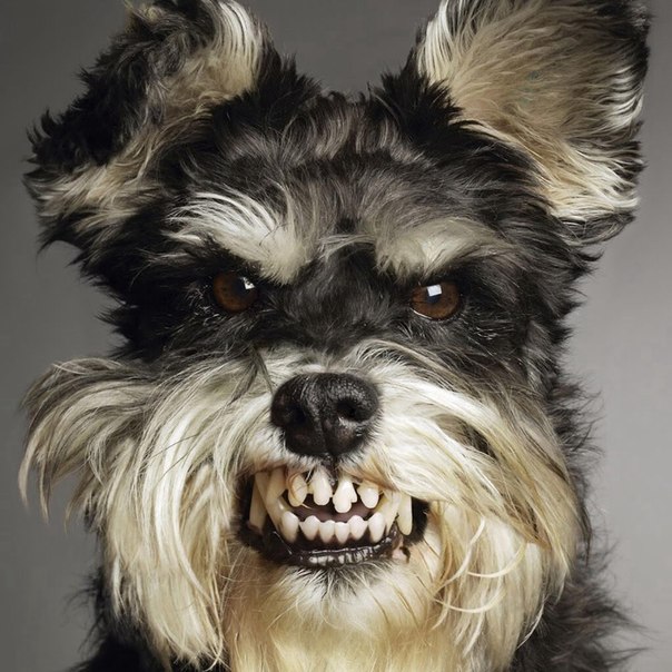 Андрей Еременко | Чайковский