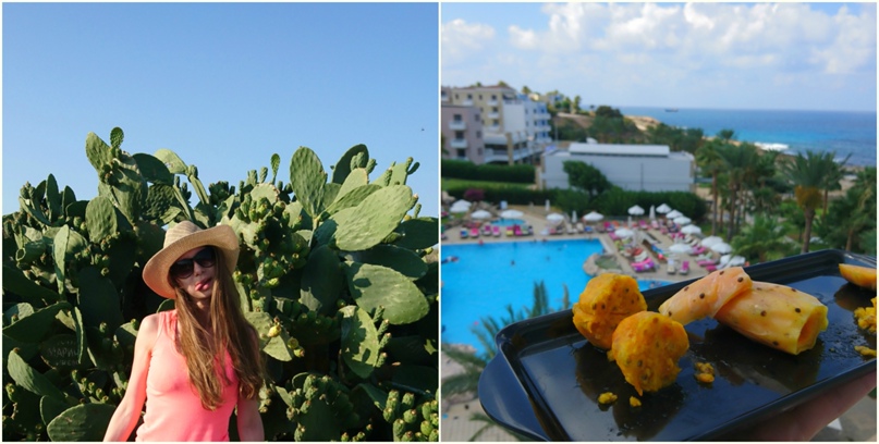 Анастасия Шевчук |