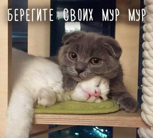 Лилия Абрамова | Саранск