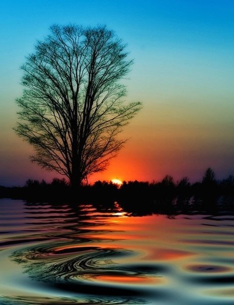 Таня Савина | Ступино