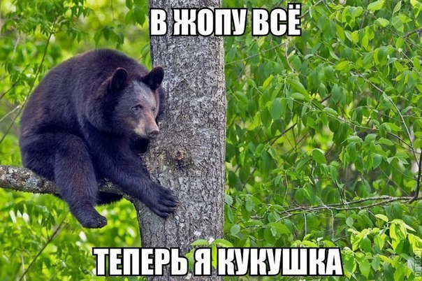 Дмитрий Евстифеев | Санкт-Петербург