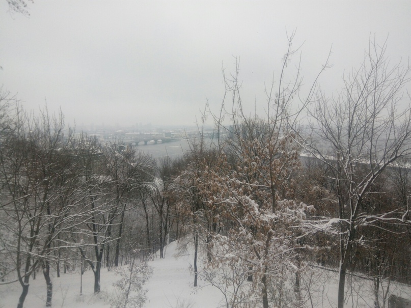 Алина Зайцева | Донецк