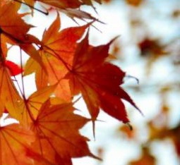 Людмила Кузнецова | Губкин