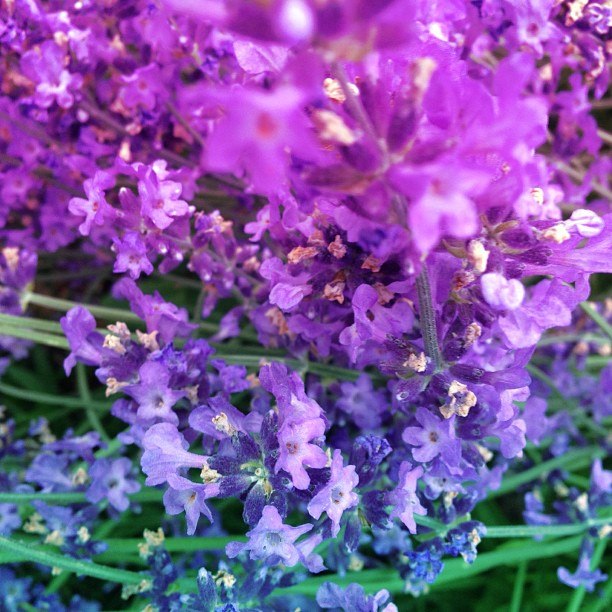 Вероника Полищук | Алматы