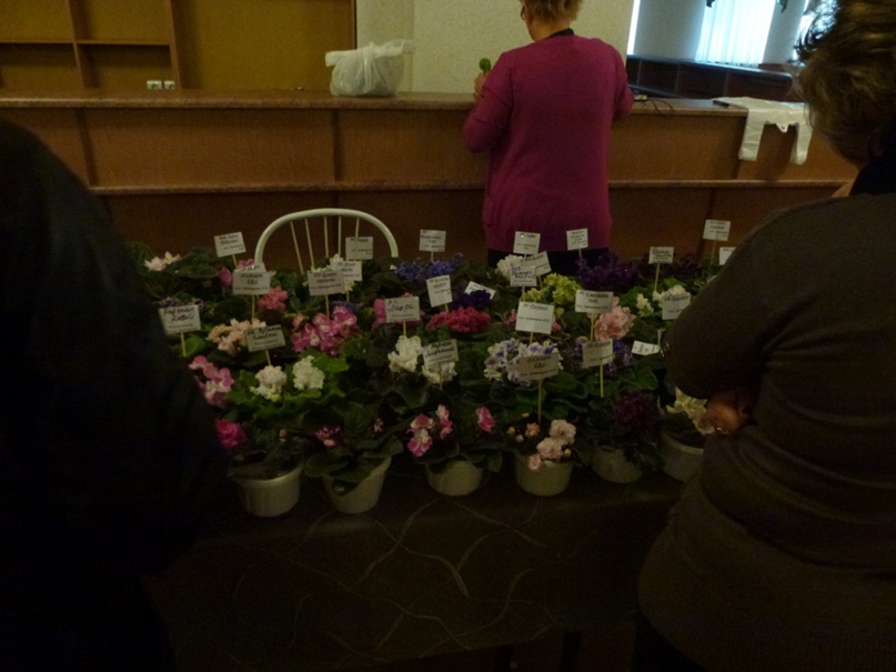 Татьяна Мартыненко | Мурманск