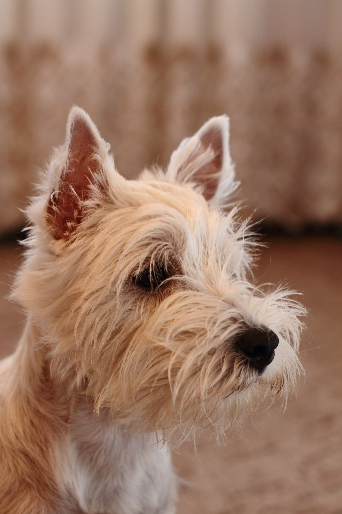 Танюшка Гавриленко | Калининград