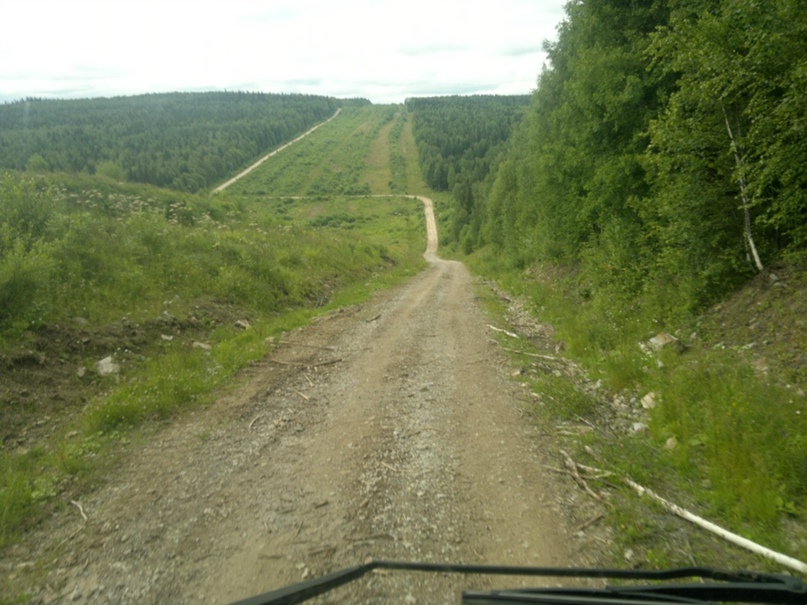 Дмитрий Кустов | Чайковский