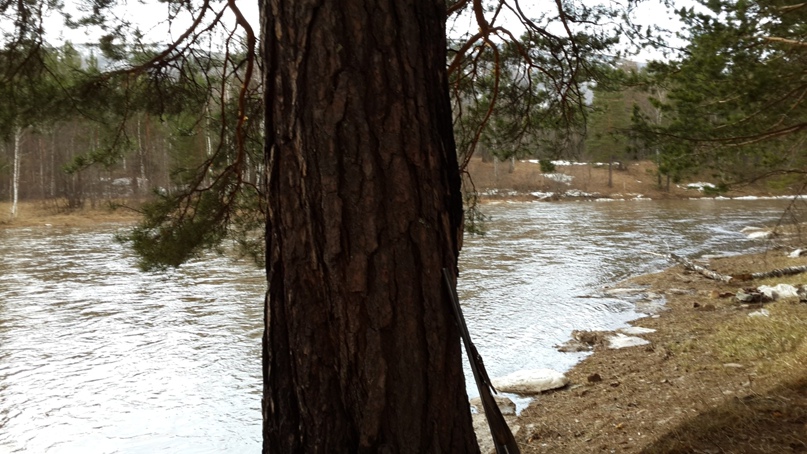 Илья Макаров | Трехгорный