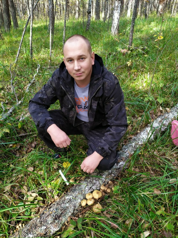 Владимир Привалов | Бородино