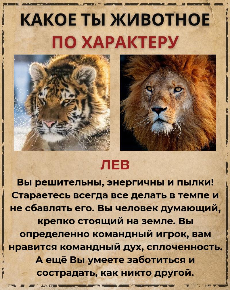 Виктория Ширяева | Севастополь