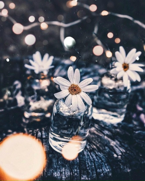 Poмашки — это любовь