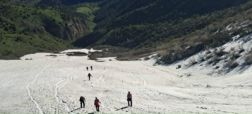 Алла Шульгина | Омск