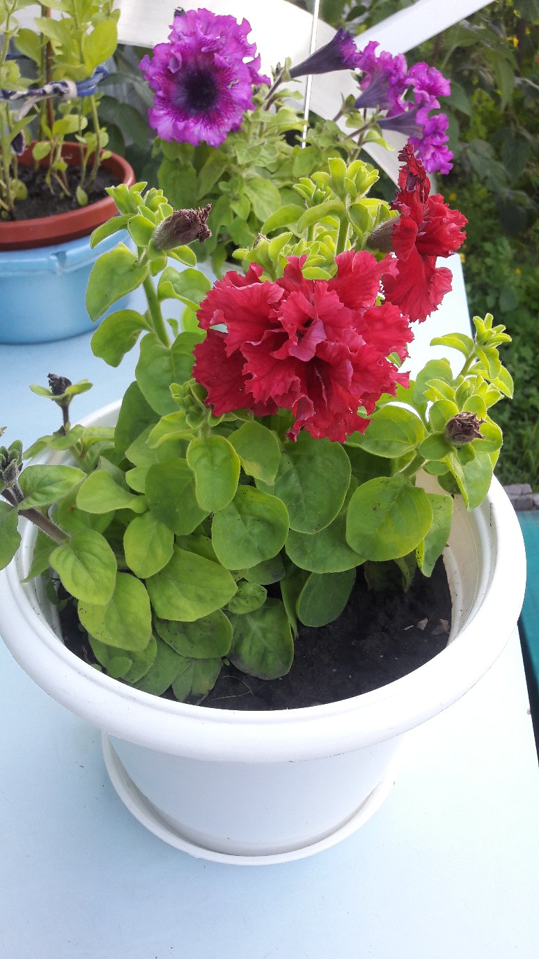 Ирина Ден | Красноярск