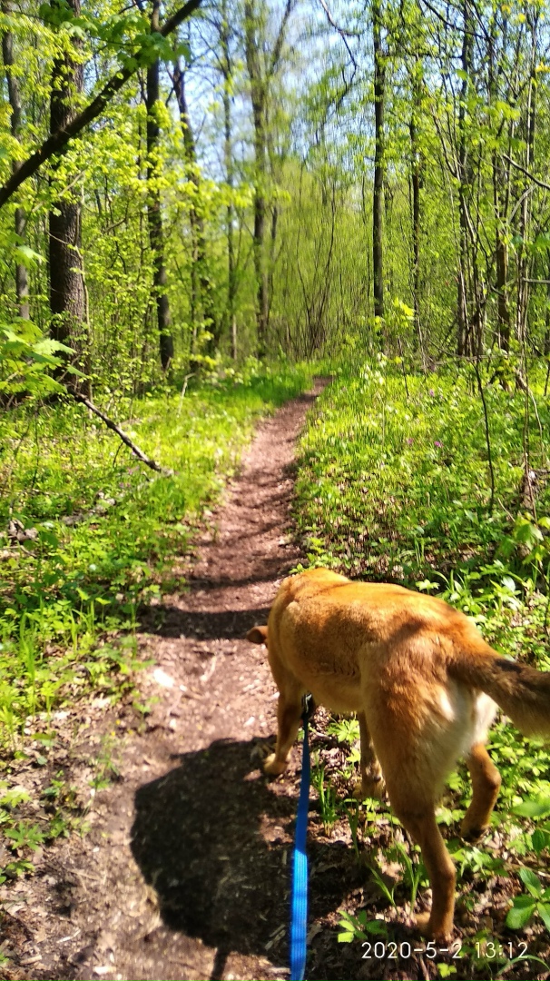 Елена Беседина | Старый Оскол