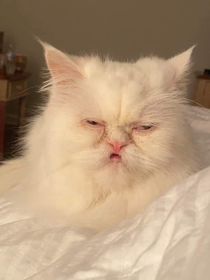 Анастасия Ермачкова | Челябинск