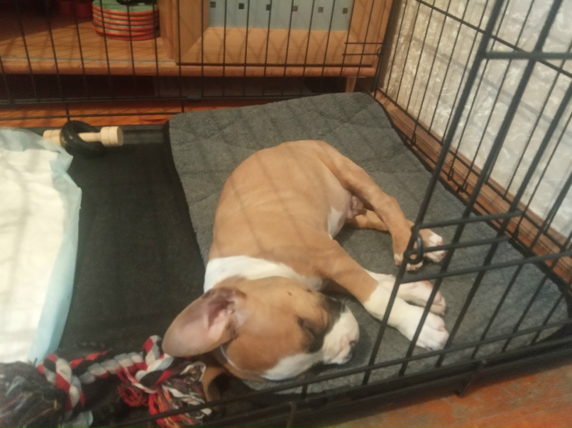 Елена Валевская | Тюмень