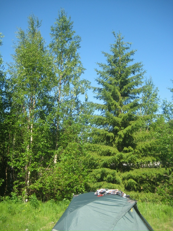 Максим Соколов | Санкт-Петербург