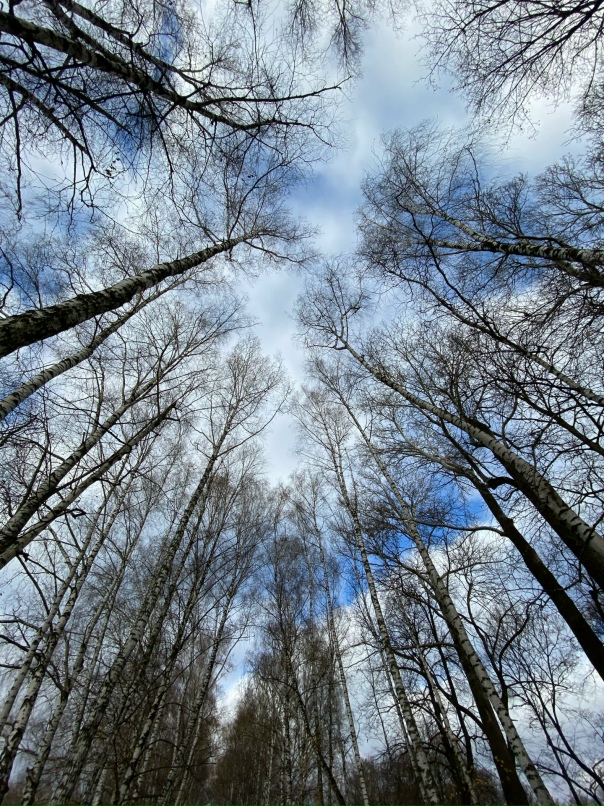 Олеся Маркова | Санкт-Петербург