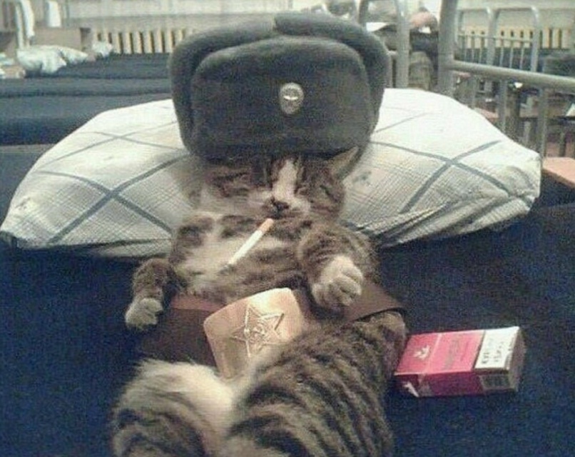 Константин Попов | Москва