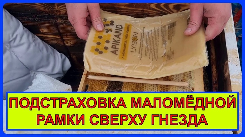 Пчеловодство для начинающих. Страховка маломёдной рамки