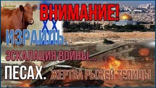 Израиль - Пророческие Часы Мира. Эскалация Войны И Рыжие Телицы #восхищениецеркви #рыжиетелицы