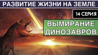 МЕЛ-ПАЛЕОГЕНОВОЕ ВЫМИРАНИЕ. Развитие жизни на Земле. 14 серия | Вымирание динозавров