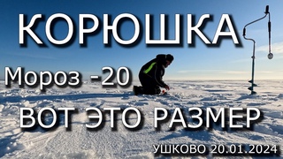 ЛОВИМ КРУПНУЮ КОРЮШКУ НА ФИНСКОМ ЗАЛИВЕ В МОРОЗ