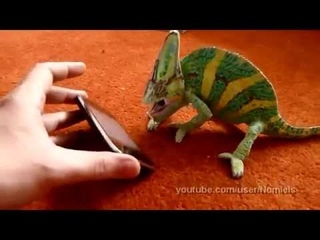 Душераздирающий крик
