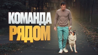 Учим собаку команде рядом.