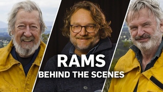 Rams - Behind the Scenes