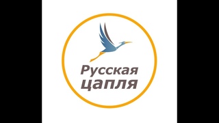 видео с тренинга Русская Цапля