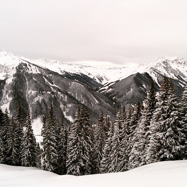 Иван Беркут | Москва