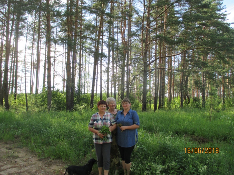 Любовь Алфёрова | Новоржев