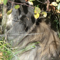 Людмила Винокурова | Москва