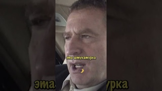 Жириновскии про крестьянскую девушку #shorts